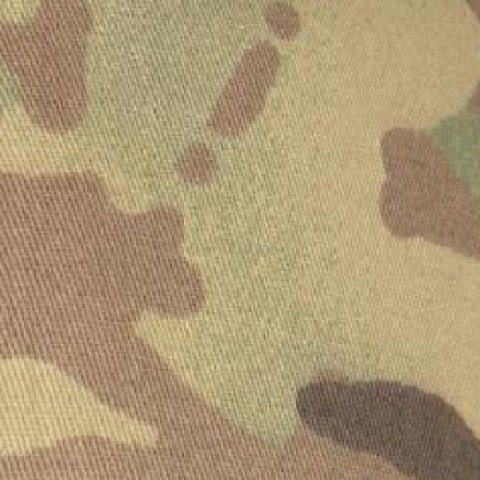 Multicam